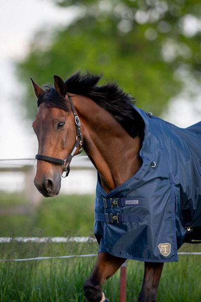 Derka padokowa TORPOL Outdoor