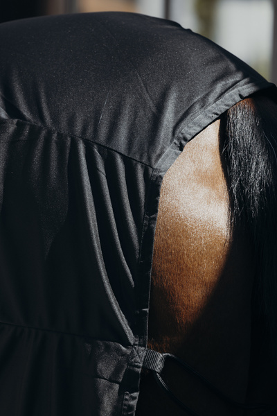 Lekka derka letnia dla koni golonych Kentucky Horsewear Summer Sheet Light