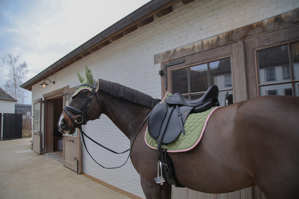 Czaprak ujeżdżeniowy Kentucky Horsewear Softshell Onion Quilt