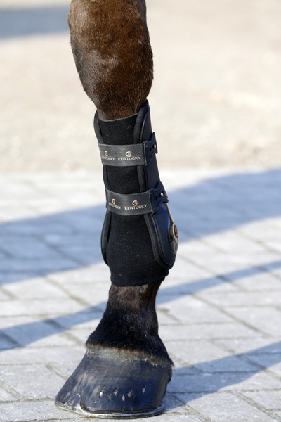 Skarpeta żelowa Kentucky Horsewear Tendon Grip