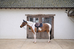Czaprak  wszechstronny Kentucky Horsewear Softshell Onion Quilt