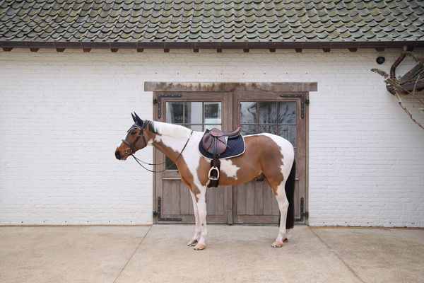 Czaprak wszechstronny Kentucky Horsewear Softshell Onion Quilt