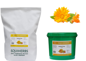 Nagietek kwiat EQUIHERBS