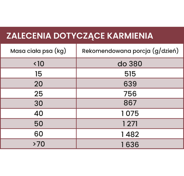 Karma mokra Perro - Indyk z cukinią