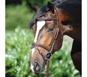Ogłowie z nachrapnikiem kombinowanym Kavalkade Lorenz