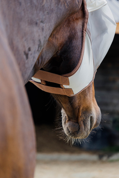 Maska przeciw owadom z uszami Kentucky Horsewear Classic