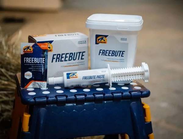 Suplement zapewniający wsparcie dla mięśni i stawów Cavalor FreeBute