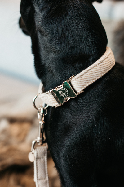 Obroża dla psa Kentucky Dogwear Wool