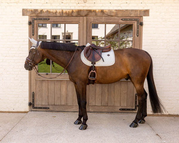 Nauszniki klasyczne Kentucky Horsewear Velvet Printing