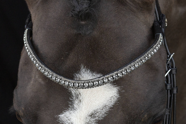 Ogłowie munsztukowe z nachrapnikiem szwedzkim Schockemöhle Sports Brindisi