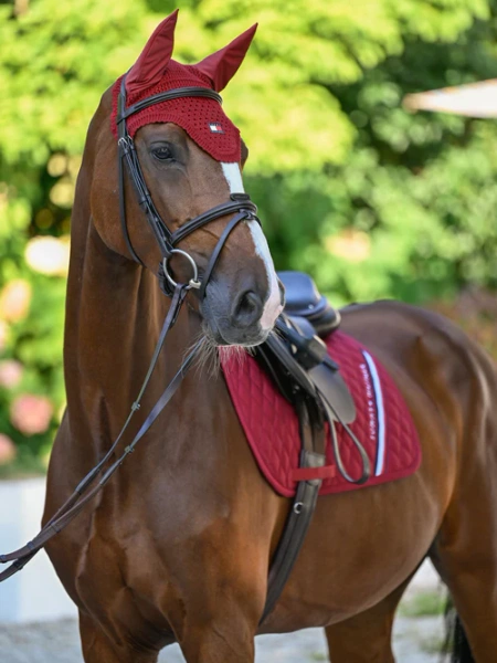 Nauszniki TOMMY HILFIGER EQUESTRIAN Lexington