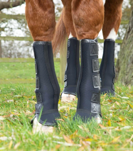 Ochraniacze padokowe Premier Equine Mud Fever Turnout Boots