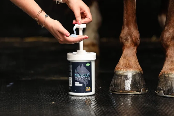 Żel chłodzący wspomagający regenerację mięśni i ścięgien Cavalor Muscle Cooler
