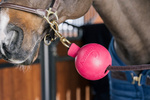 Kula ochronna do uwiązu Kentucky Horsewear