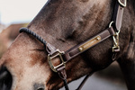 Kantar z nachrapnikiem sznurkowym Kentucky Horsewear Leather Rope