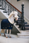 Derka stajenna dla kucyków Kentucky Horsewear Show Rug 160g