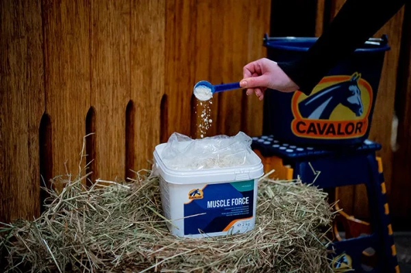 Suplement wspierający rozwój mięśni Cavalor Muscle Force