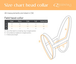 Kantar QHP Slide