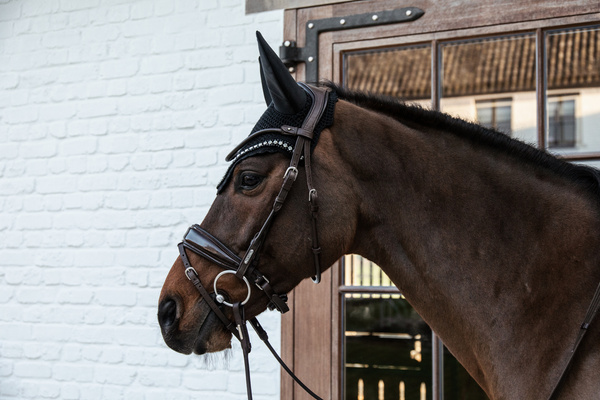 Nauszniki wyciszające Kentucky Horsewear Wellington Big Stone&Pearl