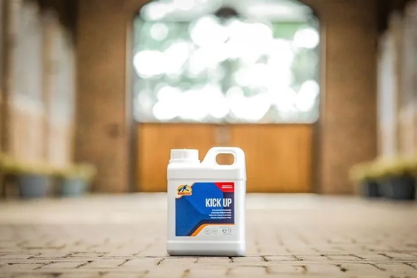 Suplement witaminowy dostarczający energii Cavalor Kick Up