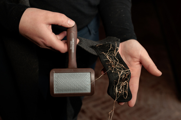 Szczotka do czyszczenia rzepów Grooming Deluxe Velcro Cleaning Brush