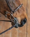 Pasek do wędzidła hackamore Fager Richard