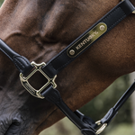 Kantar anatomiczny Kentucky Horsewear Anatomic Leather Halter