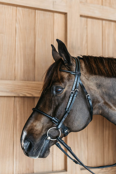 Ogłowie z nachrapnikiem kombinowanym Dy'on Working Collection Round WOARHY