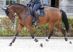 Ochraniacze ujeżdżeniowe z futrem Kentucky Horsewear Turnout Boots Leather - przody