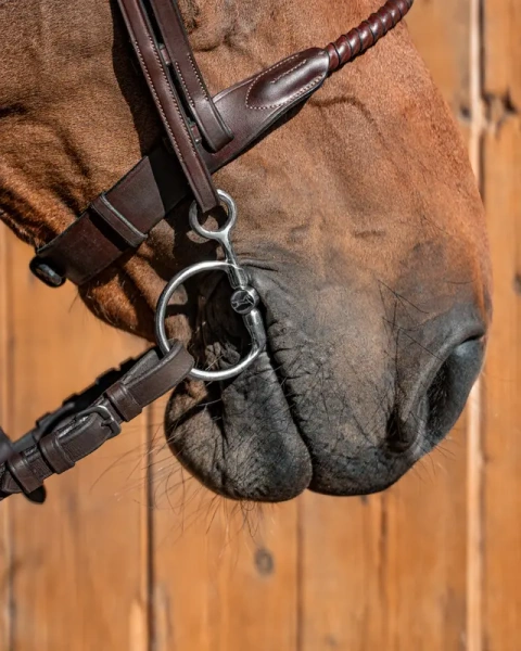 Baucher FAGER Gustav - pojedynczo łamane