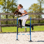 Przeszkoda dla Hobby Horse QHP
