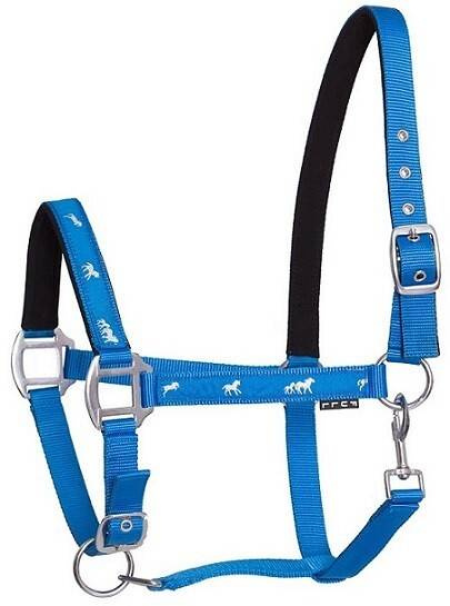 Kantar API Active Horses