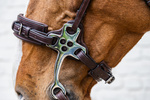 Hackamore Dy'on New English Collection NE-14003