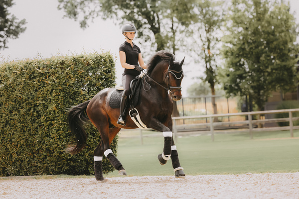Czaprak ujeżdżeniowy Kentucky Horsewear Classic