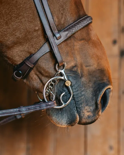 Kimblewick FAGER Carter Sweet Gold - pojedynczo łamany