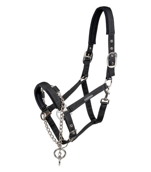 Kantar z łańcuszkiem Waldhausen Pro Safety