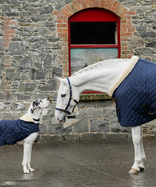 Derka stajenna Kentucky Horsewear Show Rug Logo 160g