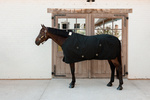 Derka stajenna Kentucky Horsewear Canvas Sheet