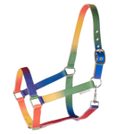 Kantar Waldhausen Rainbow