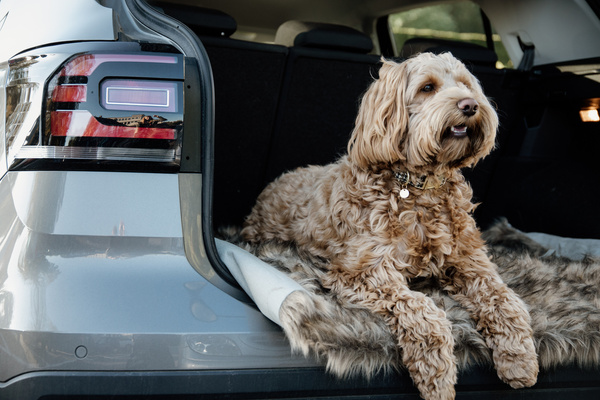 Legowisko dla psa Kentucky Dogwear Fuzzy Blanket To Go