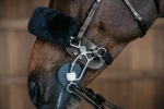 Osłonka pod czanki hackamore Dy'on AB99R
