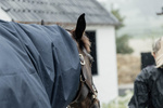 Wodoodporny kaptur dla konia Kentucky Horsewear Waterproof Horse Scarf Classic