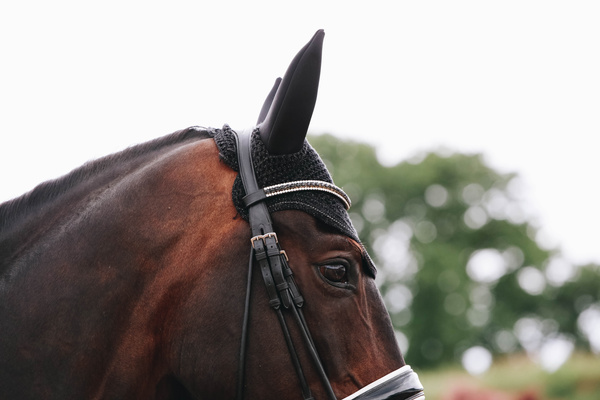 Nauszniki klasyczne Kentucky Horsewear Wellington Sparkling