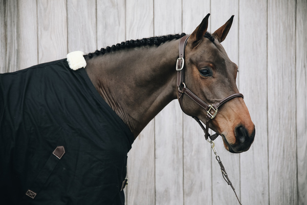 Kantar anatomiczny Kentucky Horsewear Anatomic Leather Halter
