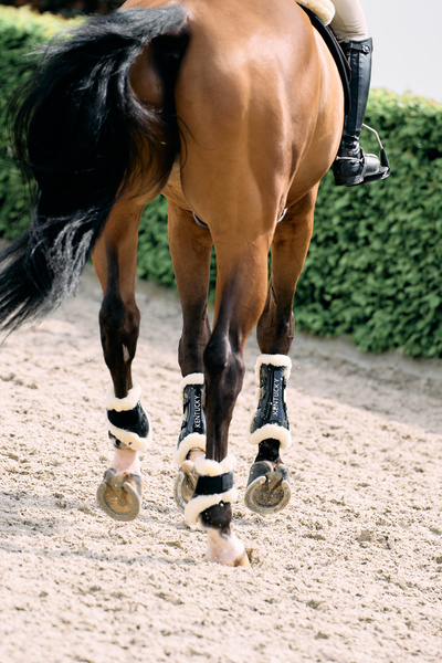 Ochraniacze tylne z futrem Kentucky Horsewear Young Horse TPU