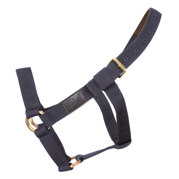 Kantar dla konia Kentucky Horsewear Heavy Duty
