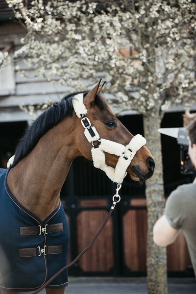Kantar obszyty w całości syntetycznym futrem Kentucky Horsewear Sheepskin Shipping