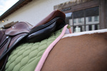Czaprak  wszechstronny Kentucky Horsewear Softshell Onion Quilt