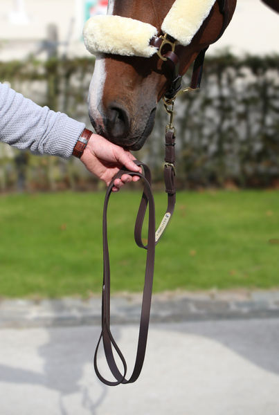 Prezenterka Kentucky Horsewear Presentation Lead