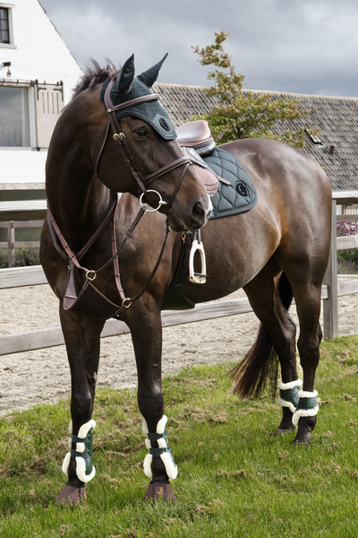 Nauszniki wyciszające Kentucky Horsewear 3D Logo
